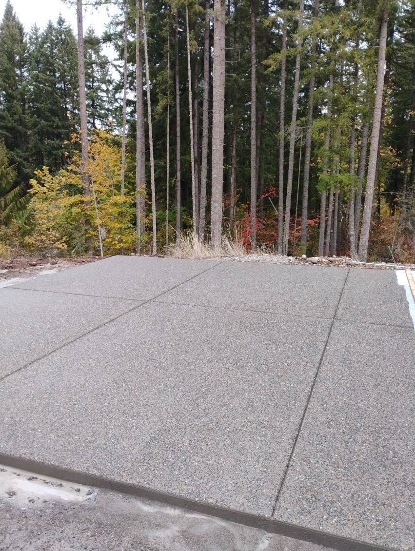 Finished exposed concrete pad among evergreen trees